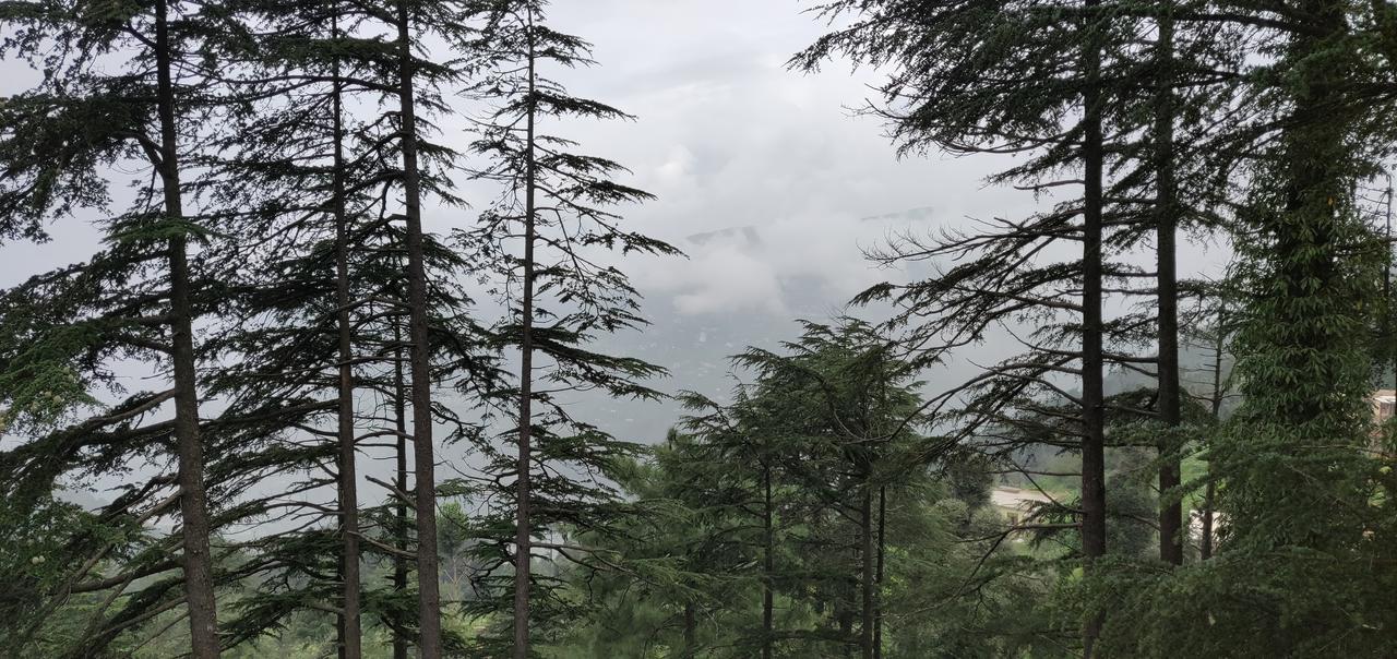 Hotel Rl Dreamland Kud Dış mekan fotoğraf